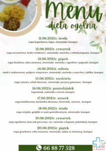Menu 11.06.2025-20.06.2025r.